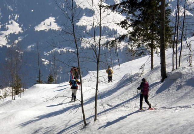  在大自然的中心 